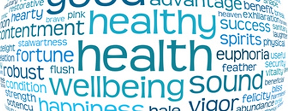 blog-wellnessglobe What a Chiropractor can help